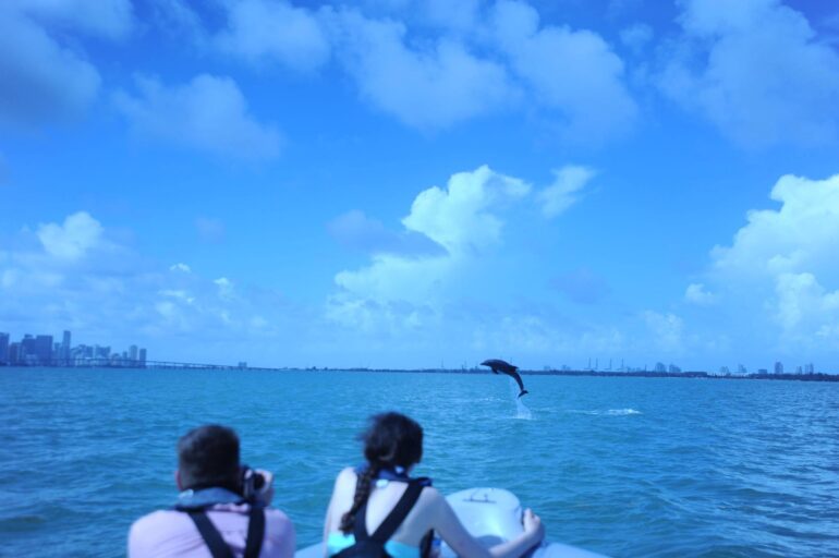 Dolphin encounter during boat tour in Miami with Ocean Force Adventures.