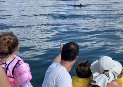 Family encounters dolphin during a boat tour in miami with Ocean Force Advenetures.