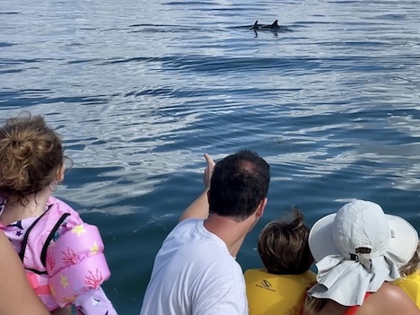 Family encounters dolphin during a boat tour in miami with Ocean Force Advenetures. 