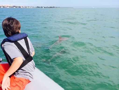 A family responsibly observes dolphin during a dolphin tour in Miami.