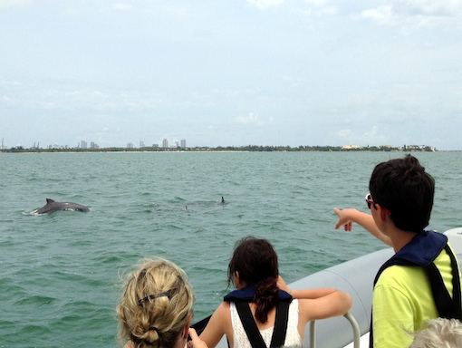 Children enjoy seeing dolphin swimming in Biscayne Bay during a Miami boat tour.
