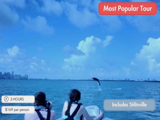 Guests on a Miami boat tour with Ocean Force Adventures encounter wild dolphin leaping in the bay.