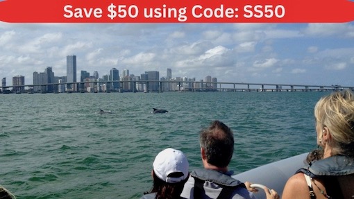 Ultimate Summer Promo Miami A family on summer vacation enjoys a dolphin encounter on Miami's biscayne bay during a sightseeing boat tour.