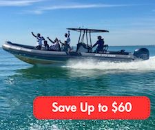 Most Popular Tour! - 4 Summer savings on speed boat tours in Miami