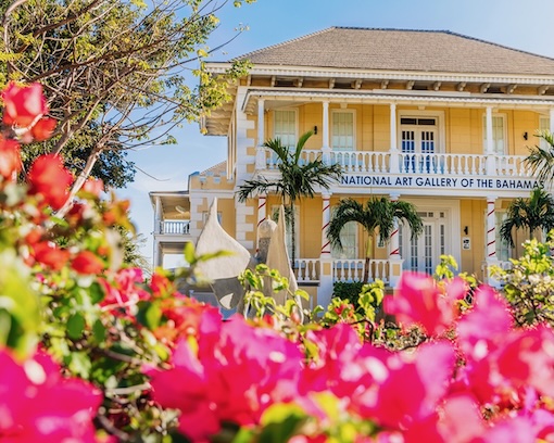 Bahamas House and Flowers Bright red flowers with a colorful Bahamas house in the background seen on a day trip ferry.