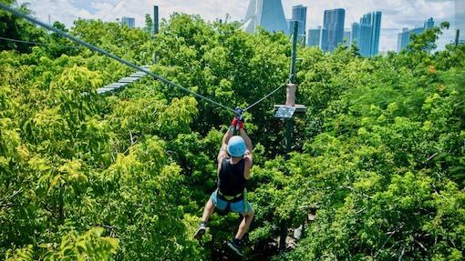 A man zips across the trees during a treetop trekking adventure in Miami along Biscayne Bay at Jungle Island.