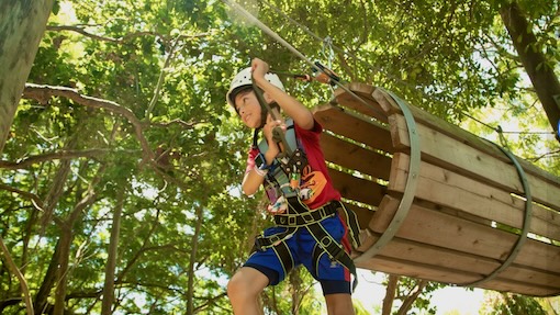 A young boy on a zip line obstacle course in Miami next to Biscayne Bay and among the tree tops.